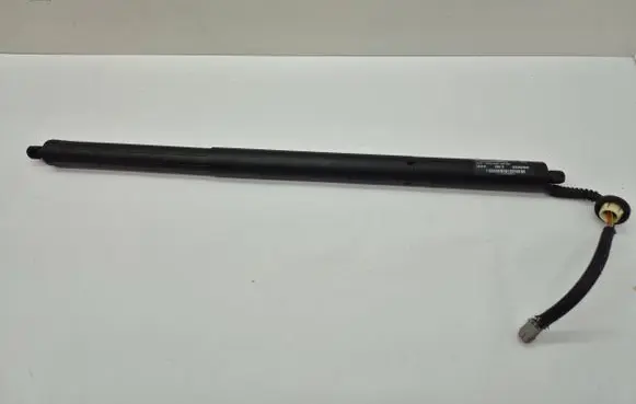 Tailgate strut
