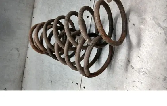 Rear coil spring