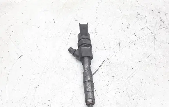 Renault Scenic I Fuel injector 0445110021