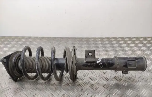 Hyundai Santa Fe Front shock absorber/damper 546612W870