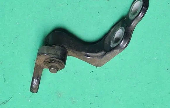 Rear door lower hinge