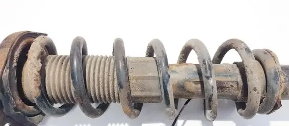 Toyota Corolla Verso AR10 Rear coil spring