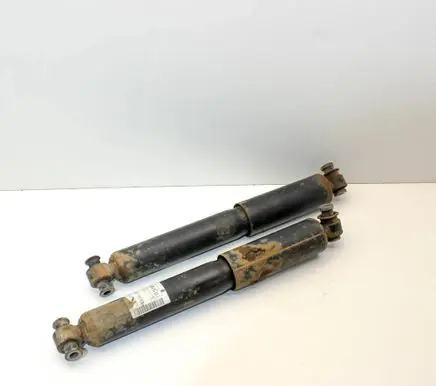 Ford Transit - Tourneo Connect Rear shock absorber/damper DV6118080AG