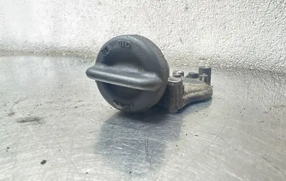 Opel Insignia A Oil filler cap 55565946 428702815