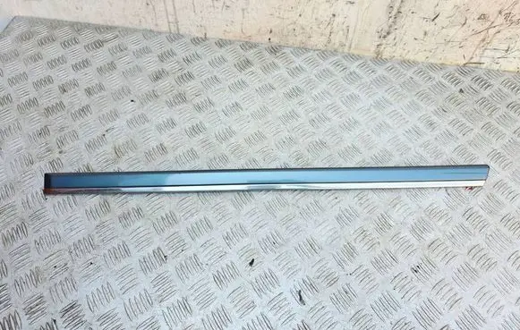 BMW 5 E39 Rear door trim (molding) 7004031