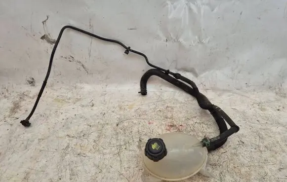 Dacia Lodgy Coolant expansion tank/reservoir 217107259R