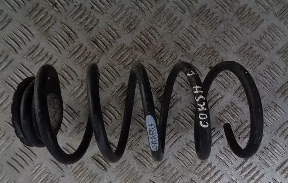 Rear coil spring