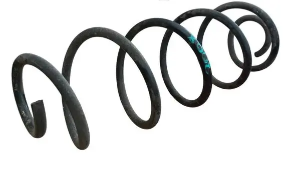 Rear coil spring