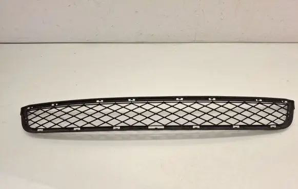 BMW X3 F25 Front bumper lower grill 7210462