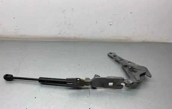 Engine bonnet/hood hinges