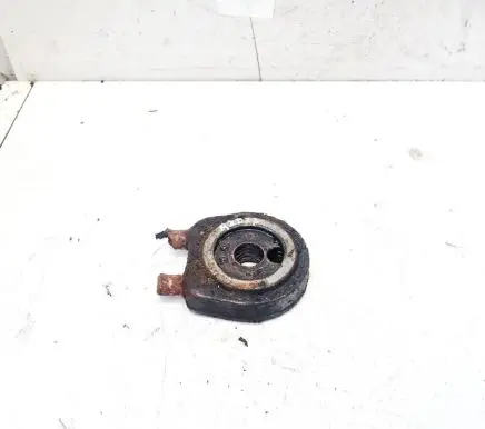 Renault 19 Engine oil radiator 