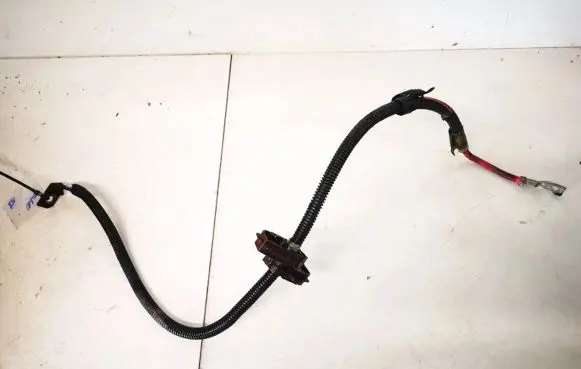 Volvo S80 Other wiring loom