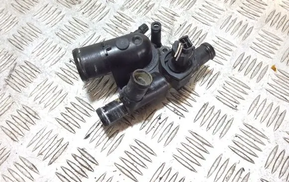 Thermostat/thermostat housing