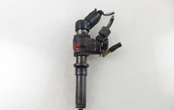 Citroen Xsara Fuel injector 9636819380