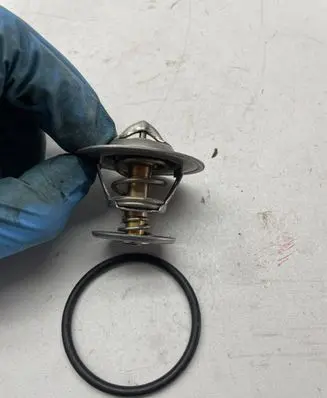 Volkswagen Caddy Thermostat 426487 borgwarner