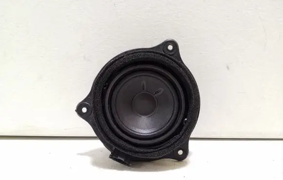 Front door speaker