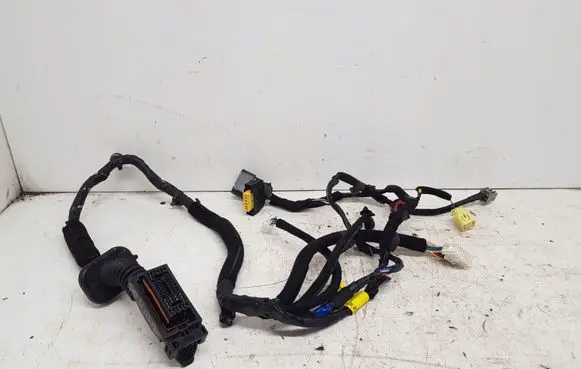 KIA Rio Front door wiring loom