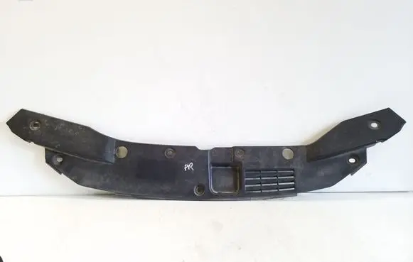 Engine bonnet/hood lock trim molding
