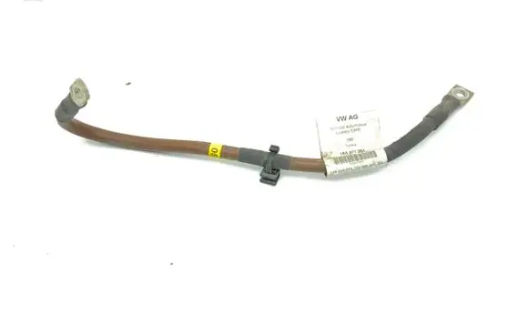 Volkswagen ID.3 Negative earth cable (battery) 1EA971354