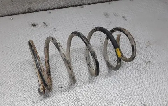 Land Rover Freelander Front coil spring
