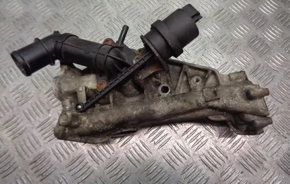 Thermostat/thermostat housing