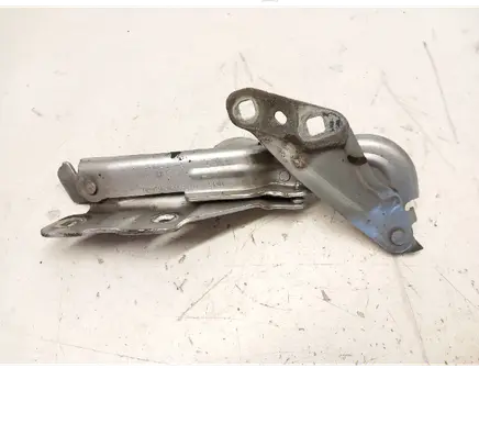 Engine bonnet/hood hinges