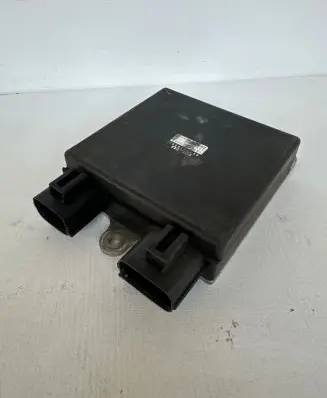 Opel Signum Other control units/modules 8973530400 1310001450