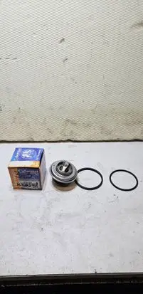 Chrysler Voyager Thermostat 596380J 04778975