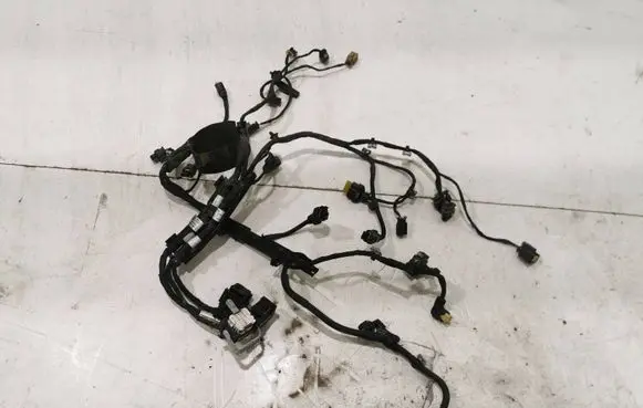 Engine installation wiring loom