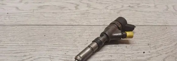 Citroen Berlingo Fuel injector 0445110076