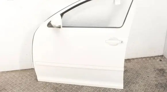 Skoda Octavia Mk2 (1Z) Front door 
