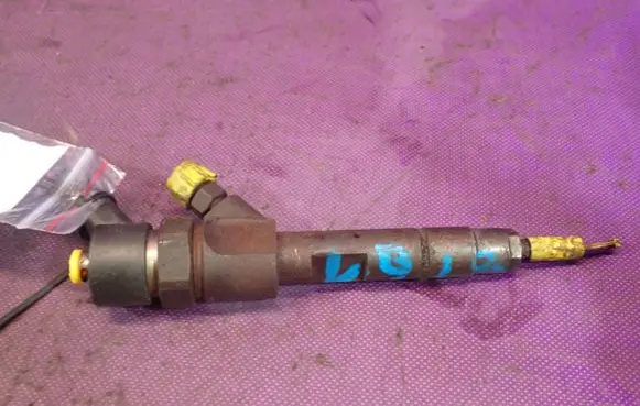 Renault Laguna II Fuel injector 0445110021