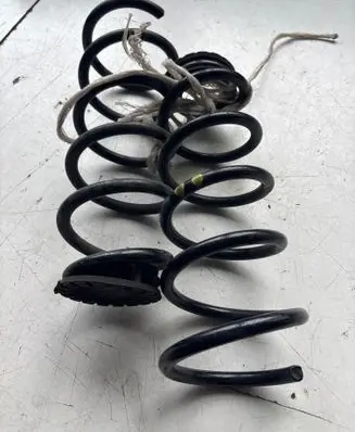 Fiat Punto (188) Front coil spring 55700710
