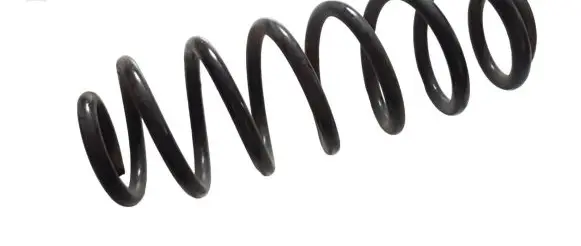 Volkswagen Tiguan Rear coil spring