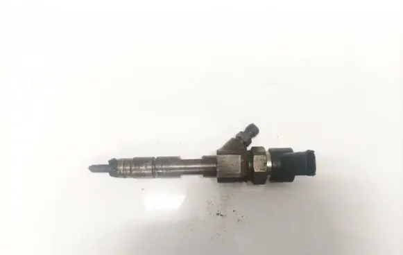 Renault Espace - Grand espace IV Fuel injector 0445110110b