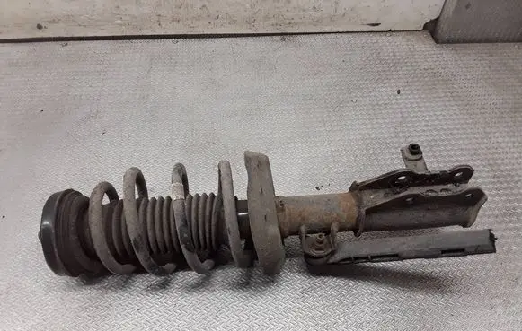 Opel Insignia A Front shock absorber with coil spring 