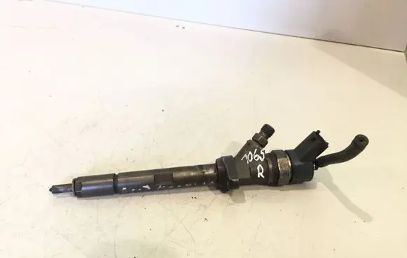 Citroen C5 Fuel injector 0445110036 9637277980