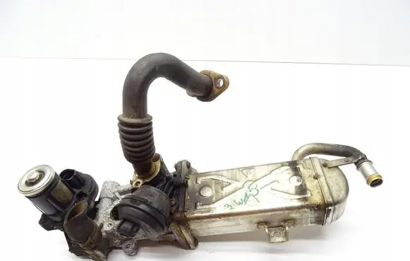 Seat Leon (1P) EGR valve cooler 03L131512BL