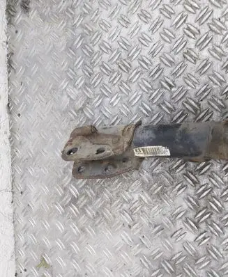 Chevrolet Captiva Front shock absorber/damper