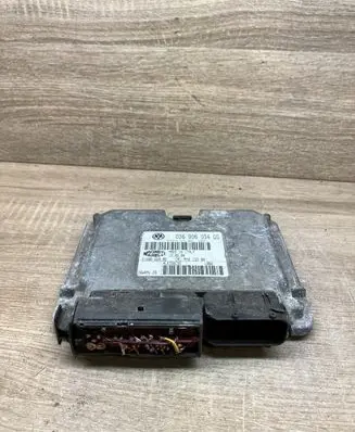 Seat Leon (1M) Engine control unit/module 036906034DS 6160066908