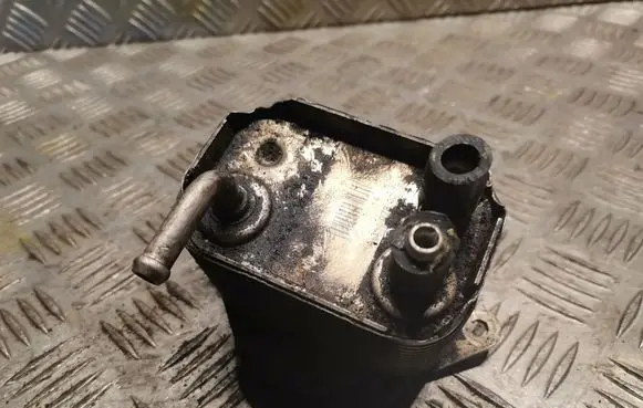 Mercedes-Benz C W202 Fuel cooler (radiator) 6110780079