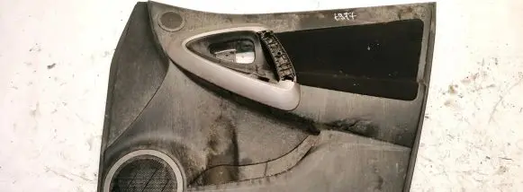 Toyota RAV 4 (XA30) Front door card panel trim