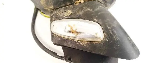 Citroen C3 Mirror indicator light 