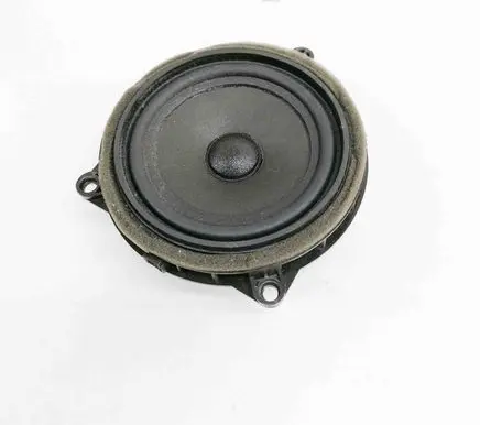 Rear door speaker
