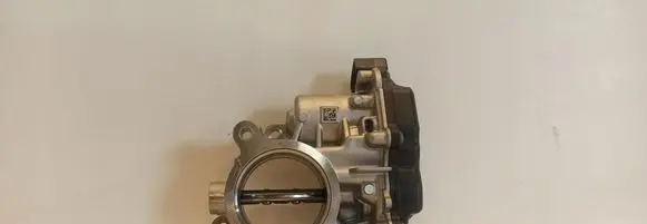 Throttle body valve