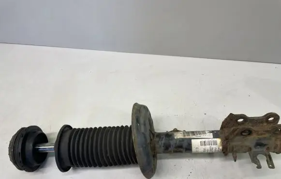 Fiat Punto (199) Front shock absorber with coil spring 51796541