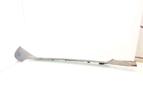 Rear sill trim cover