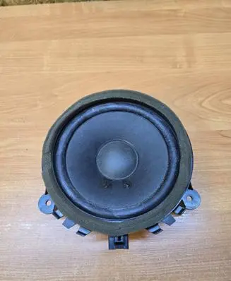Rear door speaker
