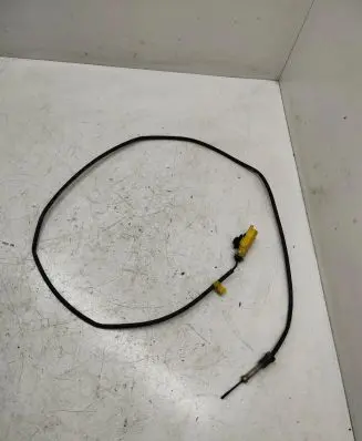 Exhaust gas temperature sensor