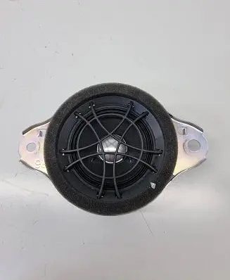 Panel speaker